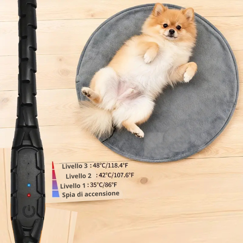 Doogy | AmiciPets™