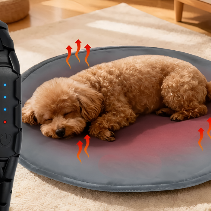 Doogy | AmiciPets™